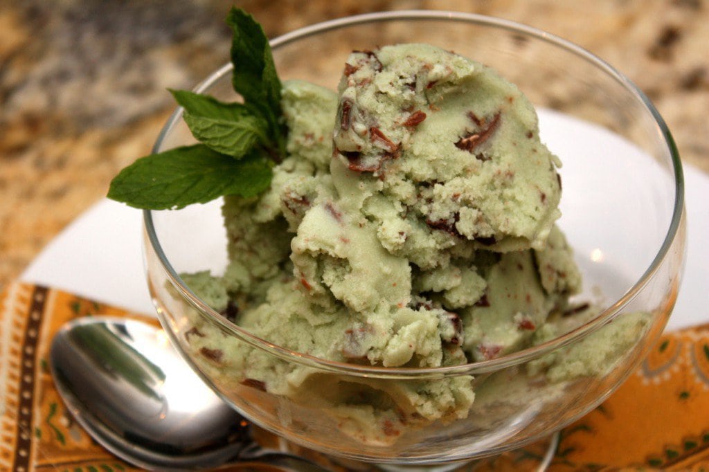 A glass bowl of Dairy Free Mint Chocolate Chip Ice Cream with a sprig of mint.