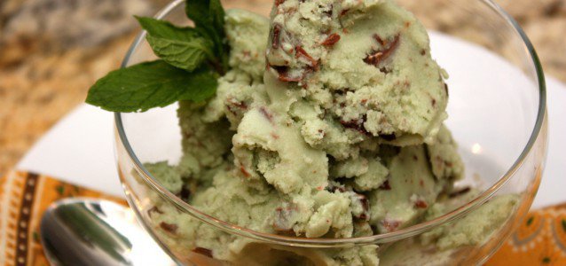 A glass bowl of Dairy Free Mint Chocolate Chip Ice Cream with a sprig of mint.