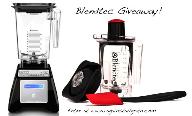 Kitchen Aid Mini Food Processor Giveaway! - Karista Bennett