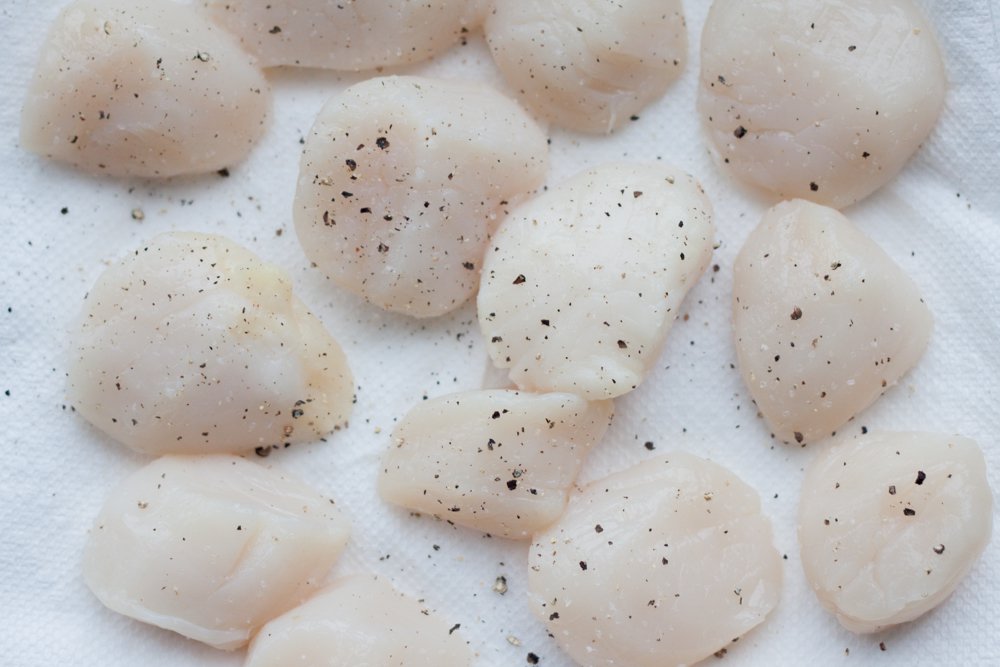 raw scallops