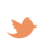 twitter-icon