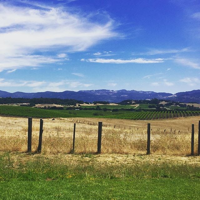 Awe_the_beauty_of_wine_country__I_love_that_we_can_drive_45_minutes_and_feel_like_we_re_in_a_different_world._Wine_world_as_Asher_calls_it.____wine_country__Napa__napavalley