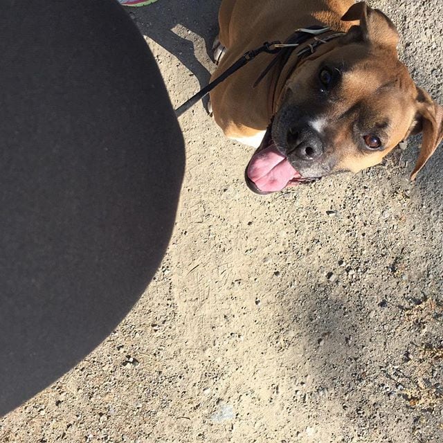 Here_s_who_the_tongue_and_nose_belong_to_in_the_last_pic.___Out_of_hiding__