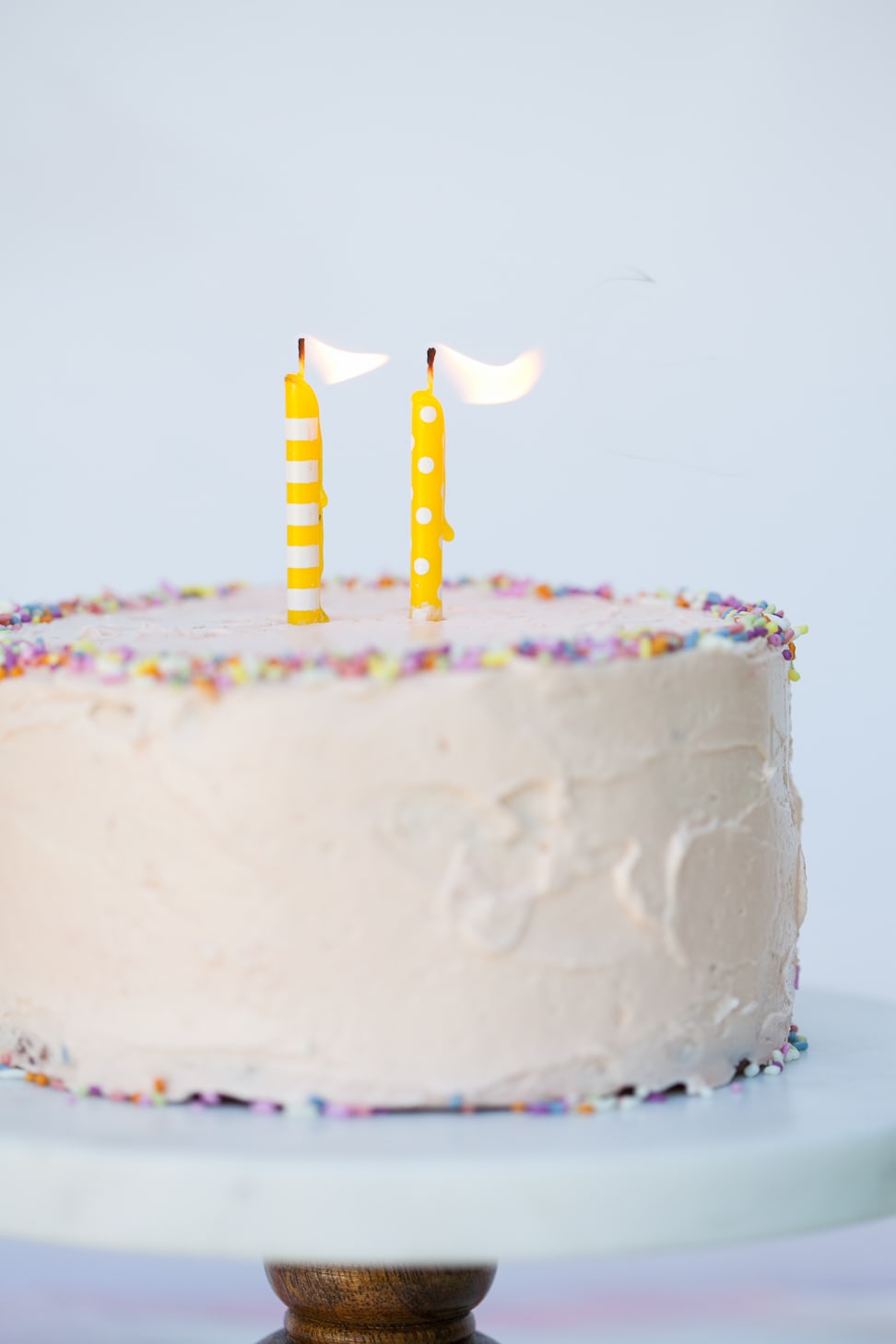 Grain-Free Birthday Cake | Danielle Walker's Against all Grain 6