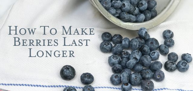 Title image displaying blueberries falling out of a sieve after processing them to make them last longer.