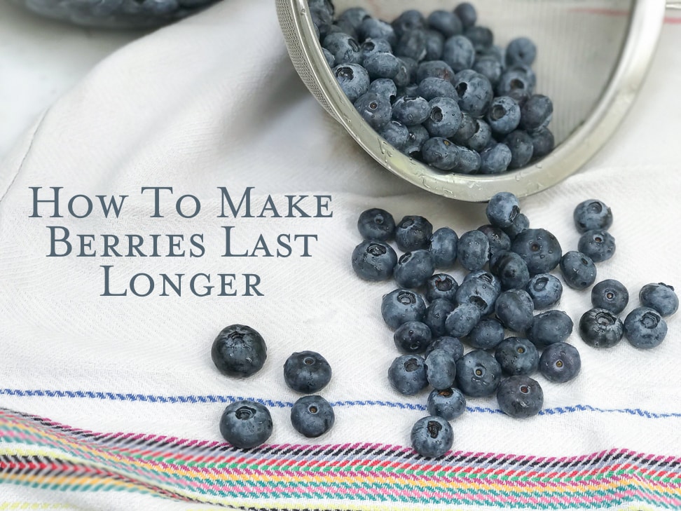 Title image displaying blueberries falling out of a sieve after processing them to make them last longer.