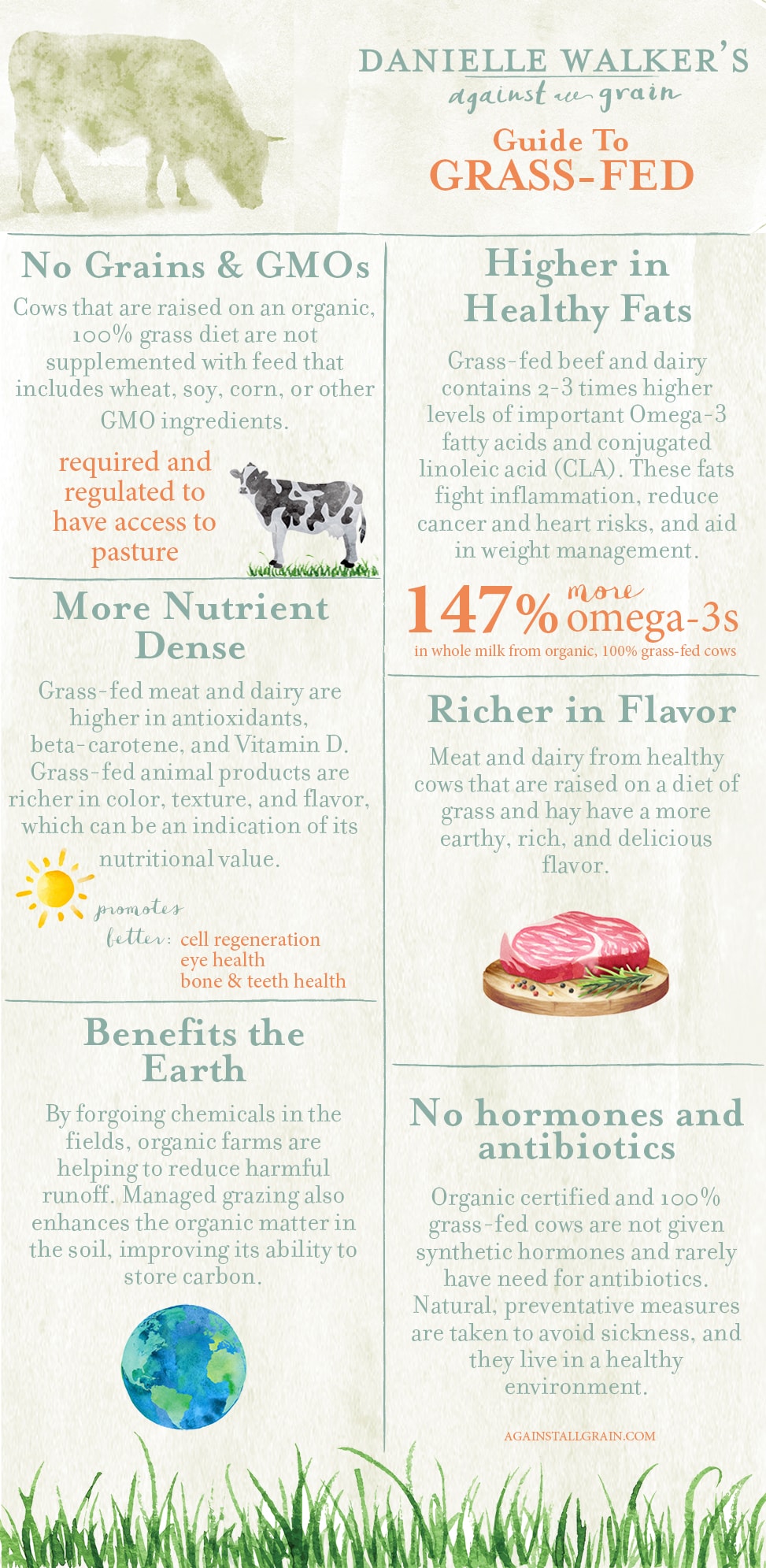 Can Grass-Fed Beef Feed the Planet?  The Benefits of Sustainable Farming