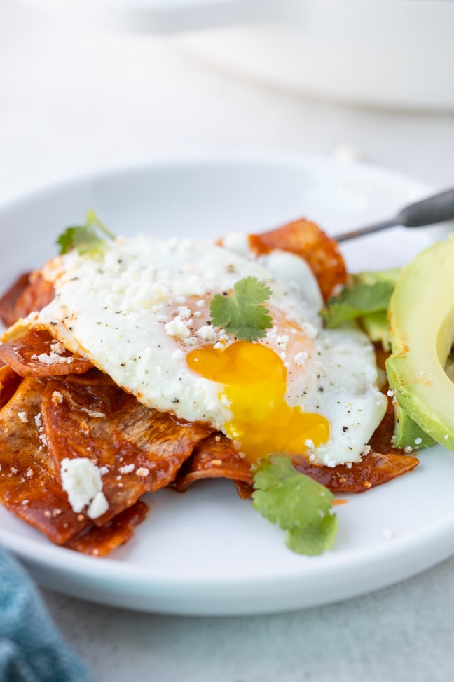 chips smothered in red sauce with an egg over easy on top with a side of avocado with cilantro as garnish, all on a white plate