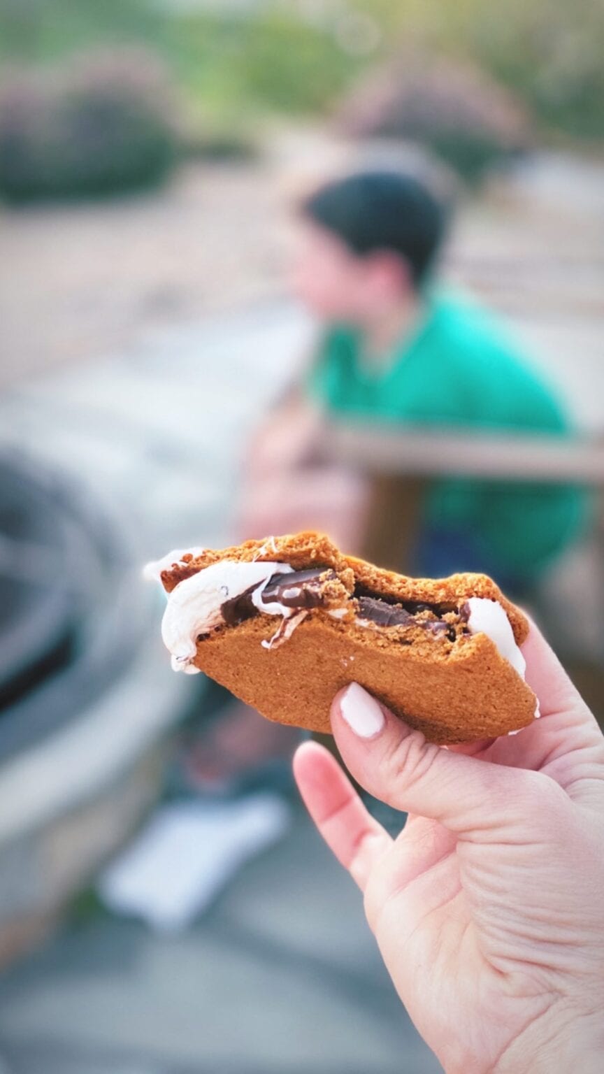 Crunchy Graham Crackers (GlutenFree) Against All Grain Delectable